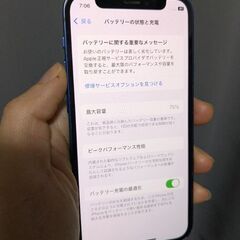 iPhone 12 mini 256GBの画像