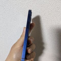 iPhone 12 mini 256GBの画像