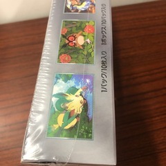 テラスタルフェスEX【シュリンク付き1Box】の画像