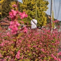 お友達募集いたします。😊…ギリアラフォーの男ですが…