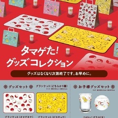 ポケモン ピカチュウ ミスド ブランケットの画像