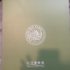 ヤマダ養蜂場 はちみつスカッシュ ゆず 200mlの画像