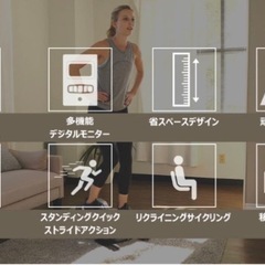 サニー ヘルス エリプティカルマシン スタンドアップミニバイクの画像