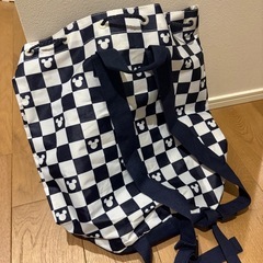 リュックにもなる物入れの画像