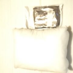 ハグモッチミニの画像