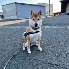 可愛がってくれる方、募集中！