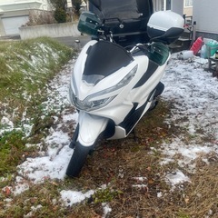 ホンダpcx125 jf81の画像