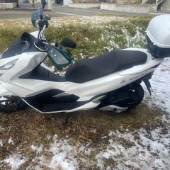 ホンダpcx125 jf81の画像