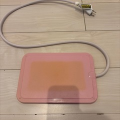 小動物用ヒーターの画像