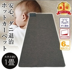 【大至急】ホットカーペット、ラグの画像