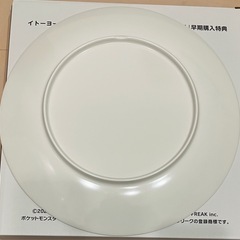 ポケモンレジェンズZA 早期購入特典　オリジナルメラミンプレートの画像