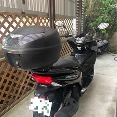 PCX150の画像
