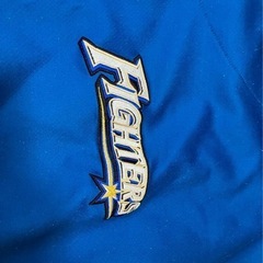 ファイターズ　アイシングポンチョの画像