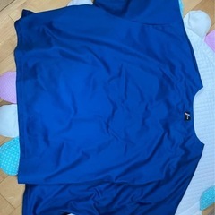 ファイターズ　アイシングポンチョの画像