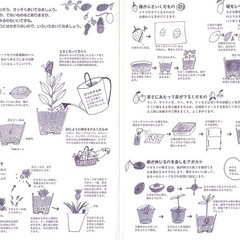 みんなの園芸店 春夏秋冬を楽しむ庭づくり 　の画像