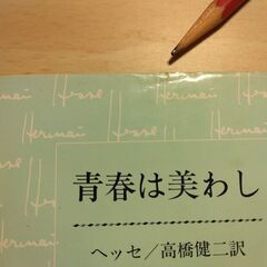 『青春は美わし』ヘッセ　新潮文庫の画像