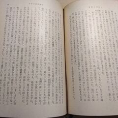 『青春は美わし』ヘッセ　新潮文庫の画像