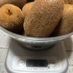 無農薬　キウイフルーツ　1kgの画像