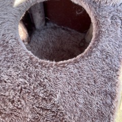 キャットタワー猫型16 [猫タワー キャットツリー 猫用品 猫の遊び場 多頭飼い の画像