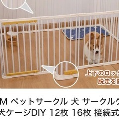 ワンチャンゲージの画像