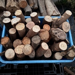 薪　太めの枝　みかん箱1つあたりの画像