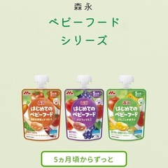 ‼️バラ売り可‼️18個箱売り　はじめてのベビーフードの画像