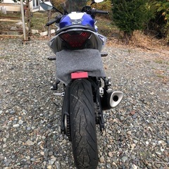   YZF R25の画像