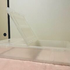 【無料譲渡】ふたとキャスター付き収納ケース（CD・DVD、漫画、衣類収納などに）の画像