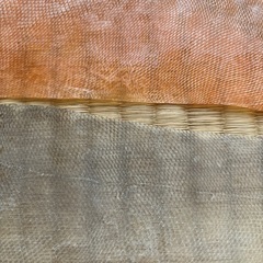 佐賀関　大ざは　皮
の画像