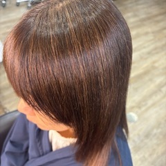 無料　本日急募　カラーモデル　白髪染めも可能