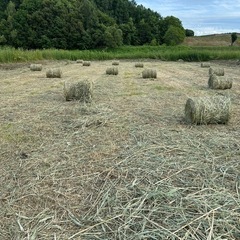 牧草ロール　ポニーの餌　馬の牧草　うさぎの敷きわら　大型犬の敷きわらの画像