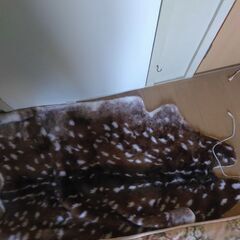 いろんなやつありますの画像