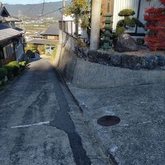 庭石、寸法(約) 70✕80cm✕高さ80cmの画像