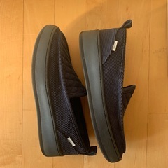 SUVSOLE for BEAMSの画像