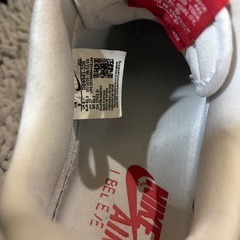 NIKEのダルマデザインスニーカーの画像