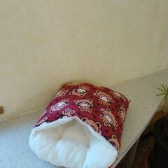 お猫さま座椅子　お猫さまドームの画像