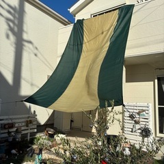 タープ　キャンプ用品　キャンプの画像