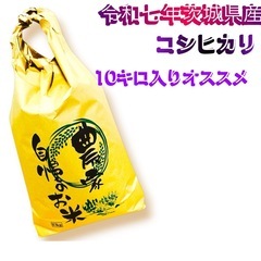 55令和7年度茨城県コシヒカリ新米になります。大人気商品となっております。10キロ入りです。コメントお待ちしております。の画像