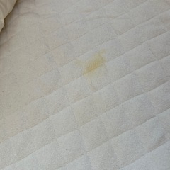 ベッドインベッド ふとんの画像