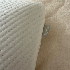 コアラピロー　枕の画像