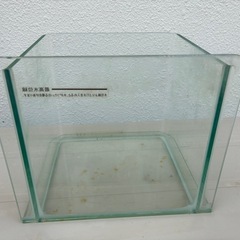 アクアリウム水槽ガラスの画像