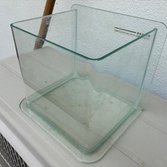 アクアリウム水槽ガラスの画像