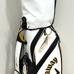 定価40万円 市場調査済み 神コスパゴルフセット 10年使えます！WARBIRDの画像