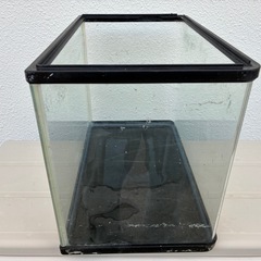 アクアリウム水槽アクリルの画像