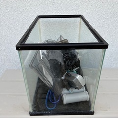 アクアリウム水槽む30センチの画像