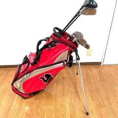 定価40万円 市場調査済み 神コスパゴルフセット 10年使えます！の画像