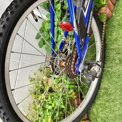 【決めました】自転車の画像