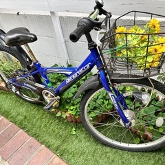 【決めました】自転車の画像