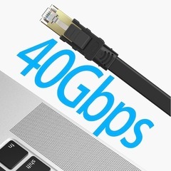 LANケーブル 5m CAT8 40Gbpsの画像