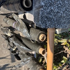 マルチシート　　　の画像